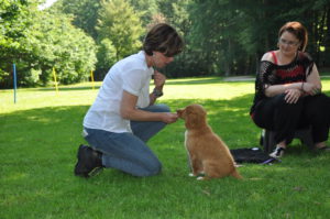 160605.LISETTE DOG TRAINING 020